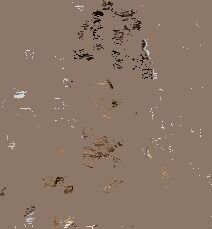 7x5 Lace Closure Balayage Highlights Body Wave Human Hair Wig with Bye Bye Slip Technology