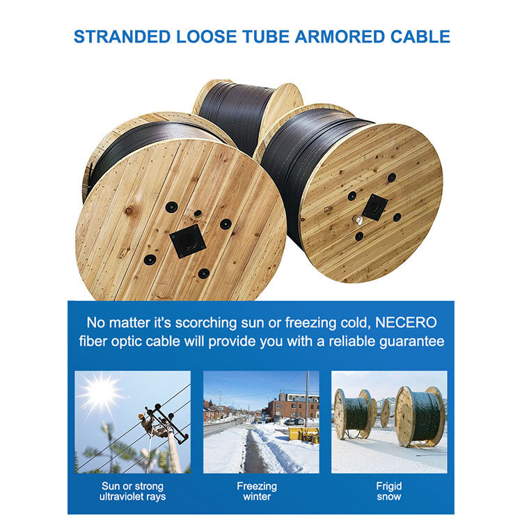 12/24/48core G652D/G657A Outdoor Armored Fiber Optic Cable Waterproof for 5G Applications