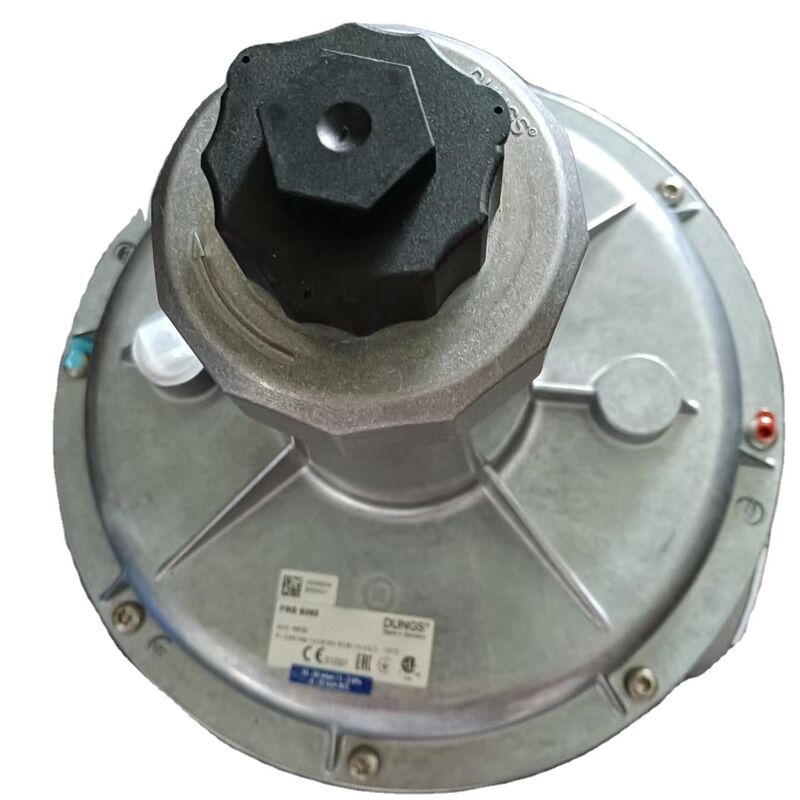 ShangHaiRanXian Germany DUNGS FRS5065  FRS5050 FRS5080 FRS520 FRS515 Pressure Relief Valve Original New Boiler Parts