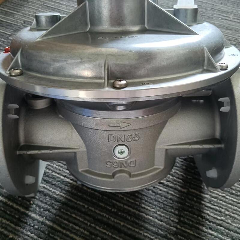 ShangHaiRanXian Germany DUNGS FRS5065  FRS5050 FRS5080 FRS520 FRS515 Pressure Relief Valve Original New Boiler Parts