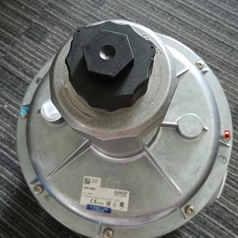 ShangHaiRanXian Germany DUNGS FRS5065  FRS5050 FRS5080 FRS520 FRS515 Pressure Relief Valve Original New Boiler Parts