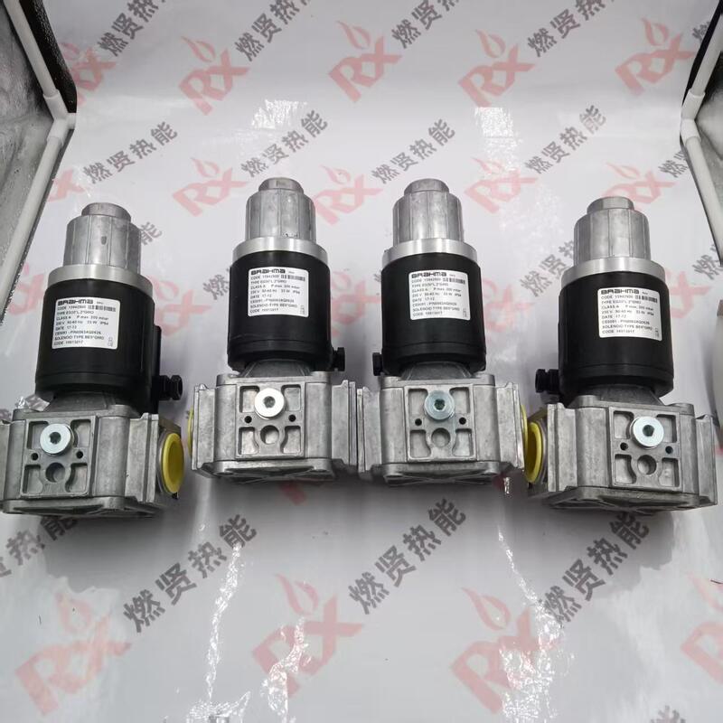 EG30*L.2*GMO   Ignition Gas Solenoid Valve Boiler Gas Valve for BRAHMA Stock