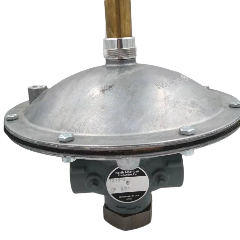 Shang Hai Ran Xian 7216-2  Proportional Valve  for Fives North American Spot 20