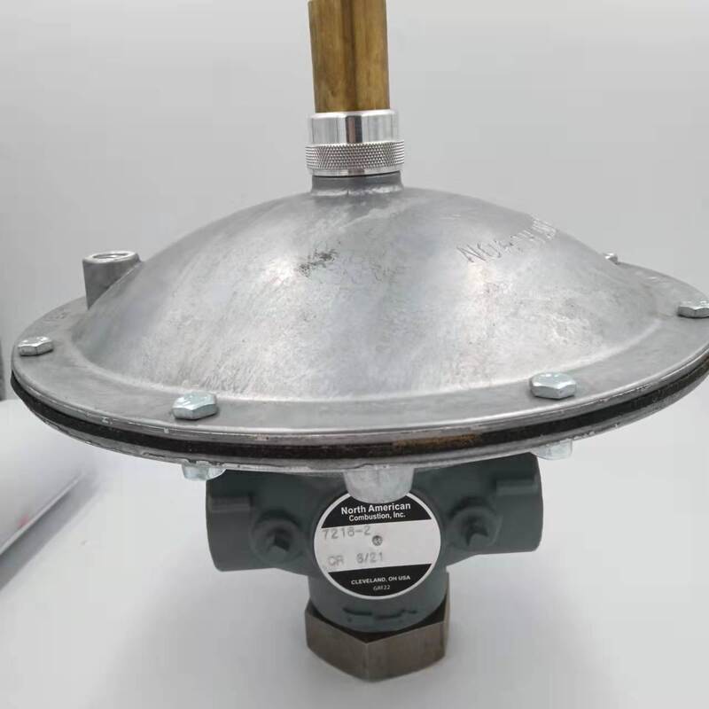 Shang Hai Ran Xian 7216-2  Proportional Valve  for Fives North American Spot 20