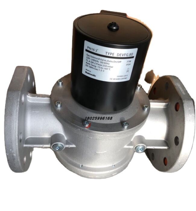 DEVFG65  DEVFG80 DEVFG100  United States Ignition Gas Solenoid Valve for Madewelle STOCK 209