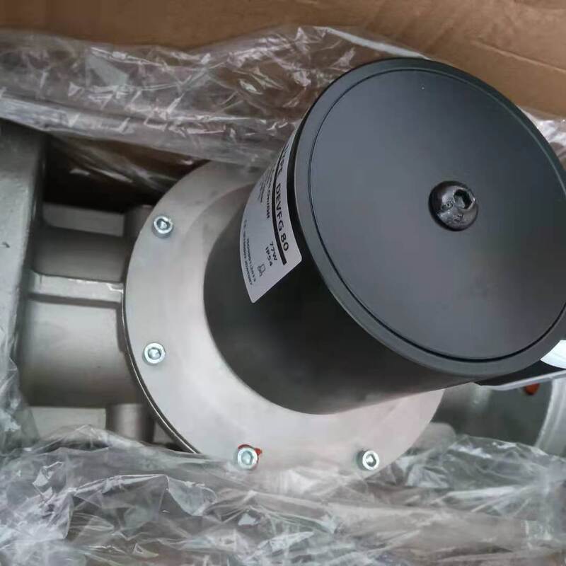 DEVFG65  DEVFG80 DEVFG100  United States Ignition Gas Solenoid Valve for Madewelle STOCK 209