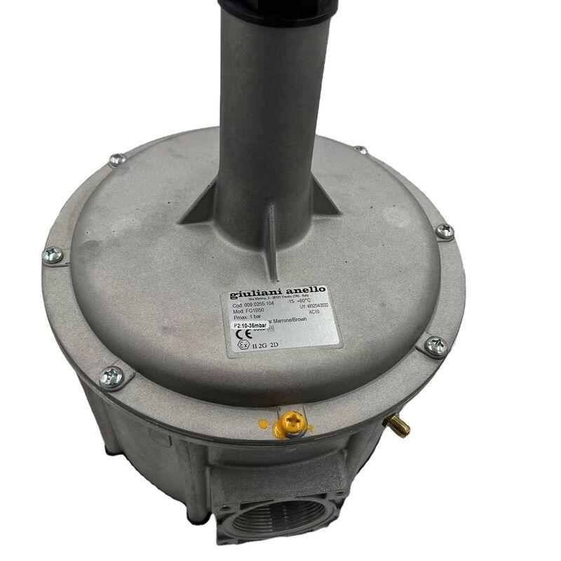 Shang Hai Ran Xian FG1B50 Gas Pressure Reducing Valve for Giuliani in Stock Electrical Equipment