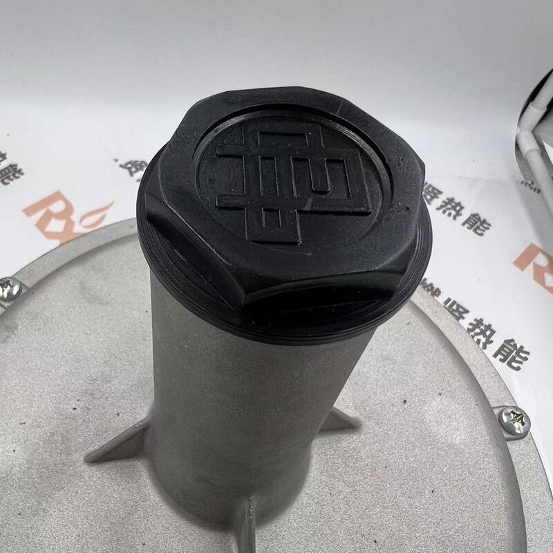 Shang Hai Ran Xian FG1B50 Gas Pressure Reducing Valve for Giuliani in Stock Electrical Equipment