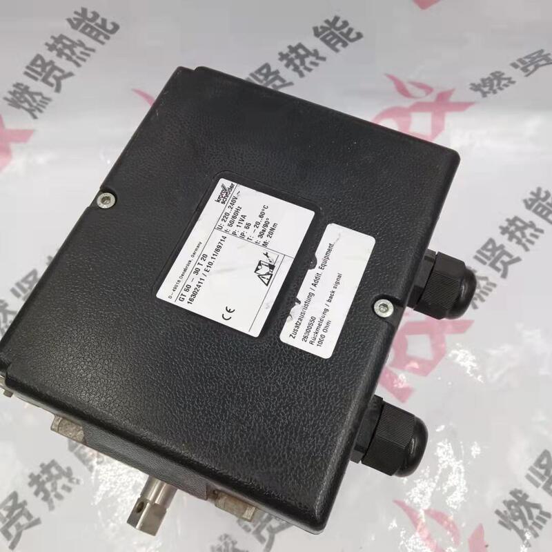 Shang Hai Ran Xian GT50-30T20  the Order No. 16302411 Electric Actuator  Transformer for KromSchroder