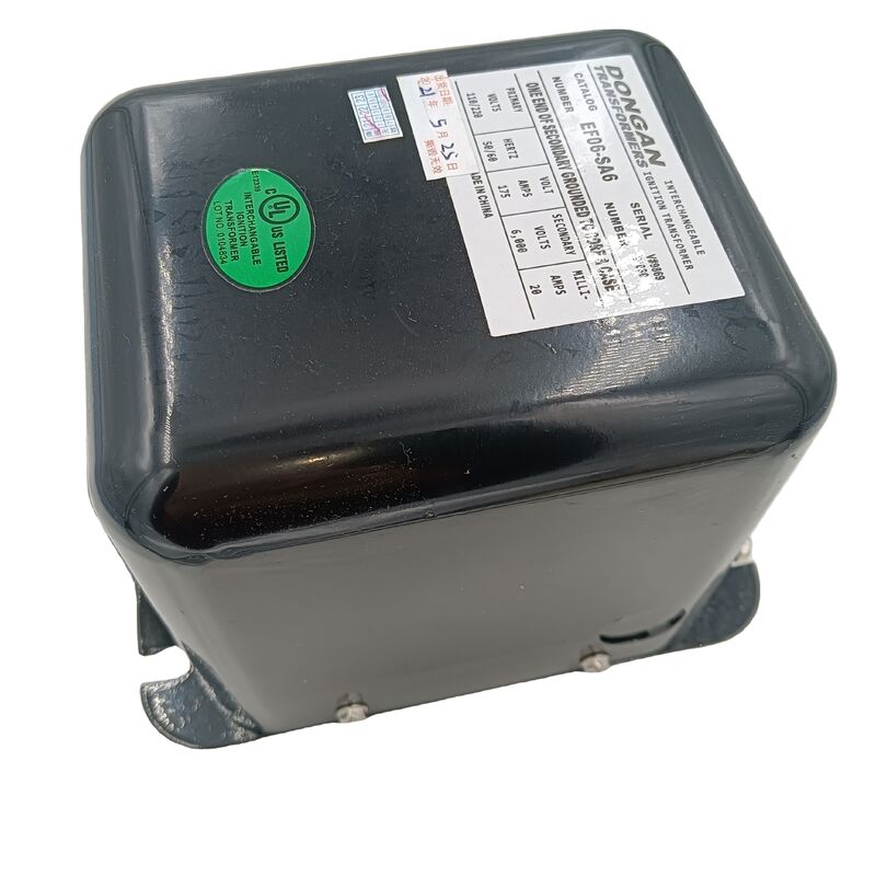EF06-SA6 F06-SA6  E06-SA6   A06-SA6   Ignition Transformer for DONGAN Stock 20 110V 220V 24V