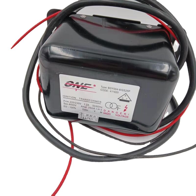BGY004-8/GS25P Zündtransformator 220V 110V 24V Hochspannung Pack in China hergestellt