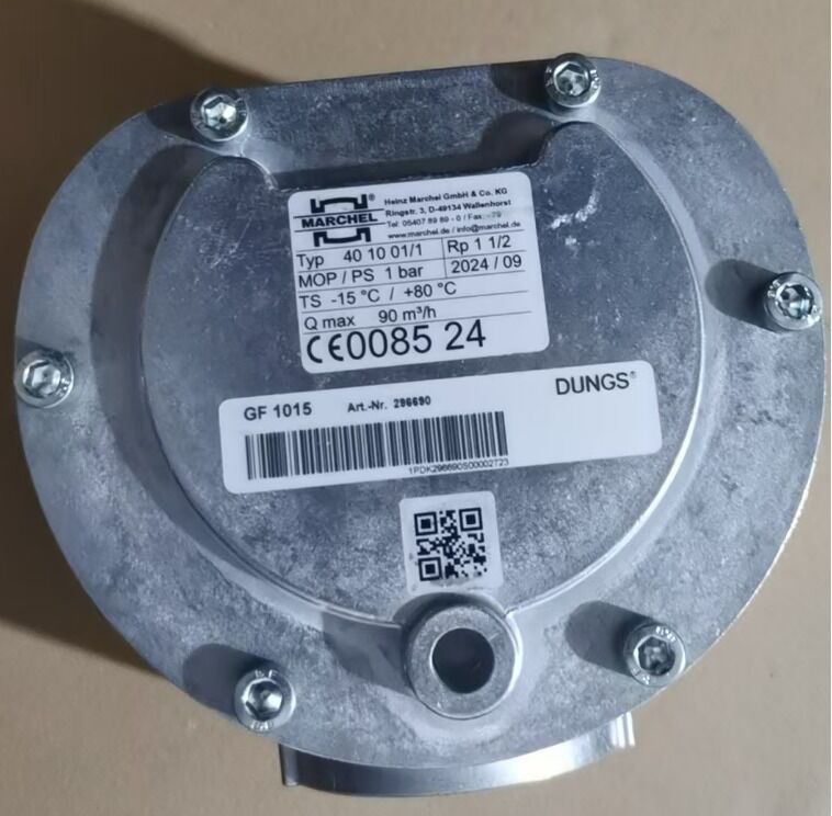 Alemania DUNGS Filtro de gas de invierno GF1010/1 GF 1015 Año de garantía Original de stock Nuevo