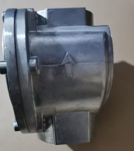 Alemania DUNGS Filtro de gas de invierno GF1010/1 GF 1015 Año de garantía Original de stock Nuevo