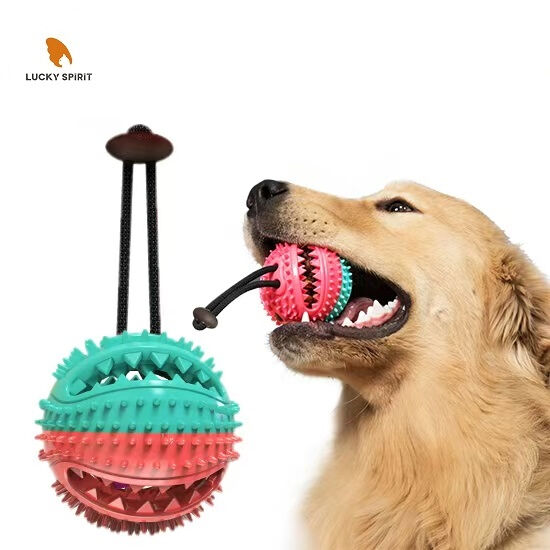 Multifunctional TPR+Nylon Dog Chew Toy with Teeth Cleaning and Food Dispenser for All Size Dogs