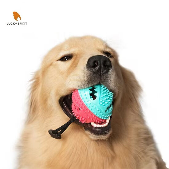 Multifunctional TPR+Nylon Dog Chew Toy with Teeth Cleaning and Food Dispenser for All Size Dogs