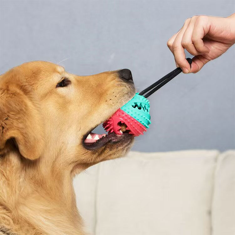 Multifunctional TPR+Nylon Dog Chew Toy with Teeth Cleaning and Food Dispenser for All Size Dogs