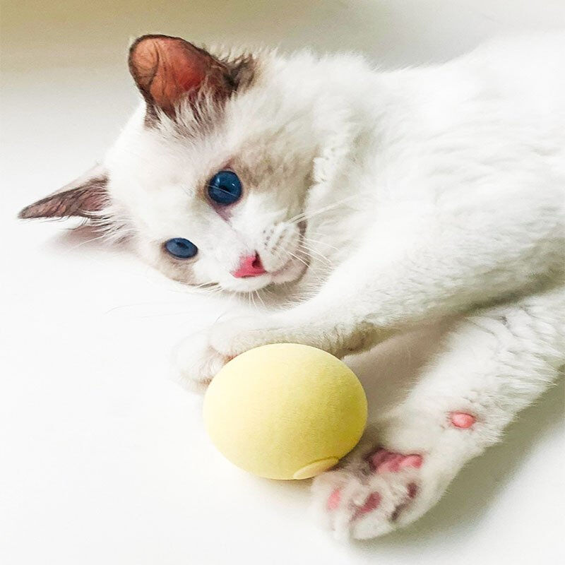 Interactive Cat Toy with ABS Material and Realistic Sounds for Compact Design Playtime