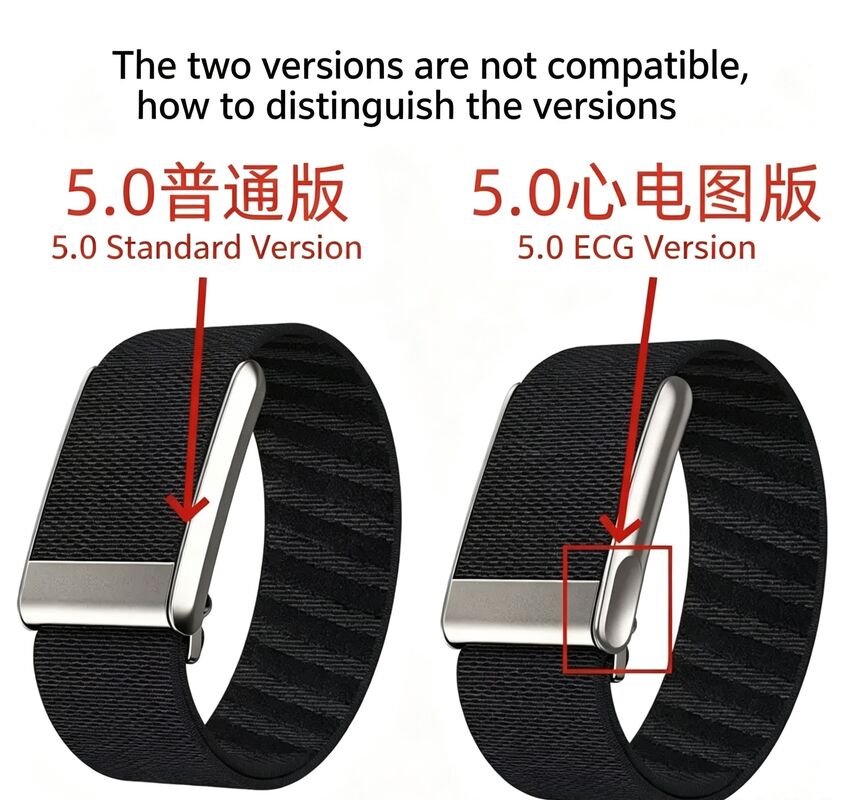For Whoop 5.0/MG Odor Resistant Adjustable Breathable Nylon Elastic Fitness Tracking Replaceable Strap Band