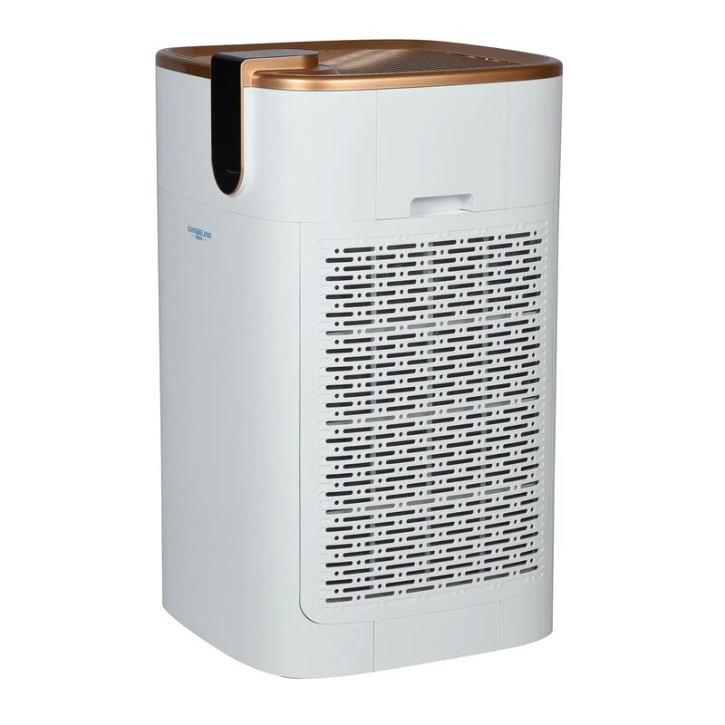 Mobile Plasma Air Purifier with 99.99% Sterilization Rate, 800m³/h Airflow, and DBD Plasma Technology